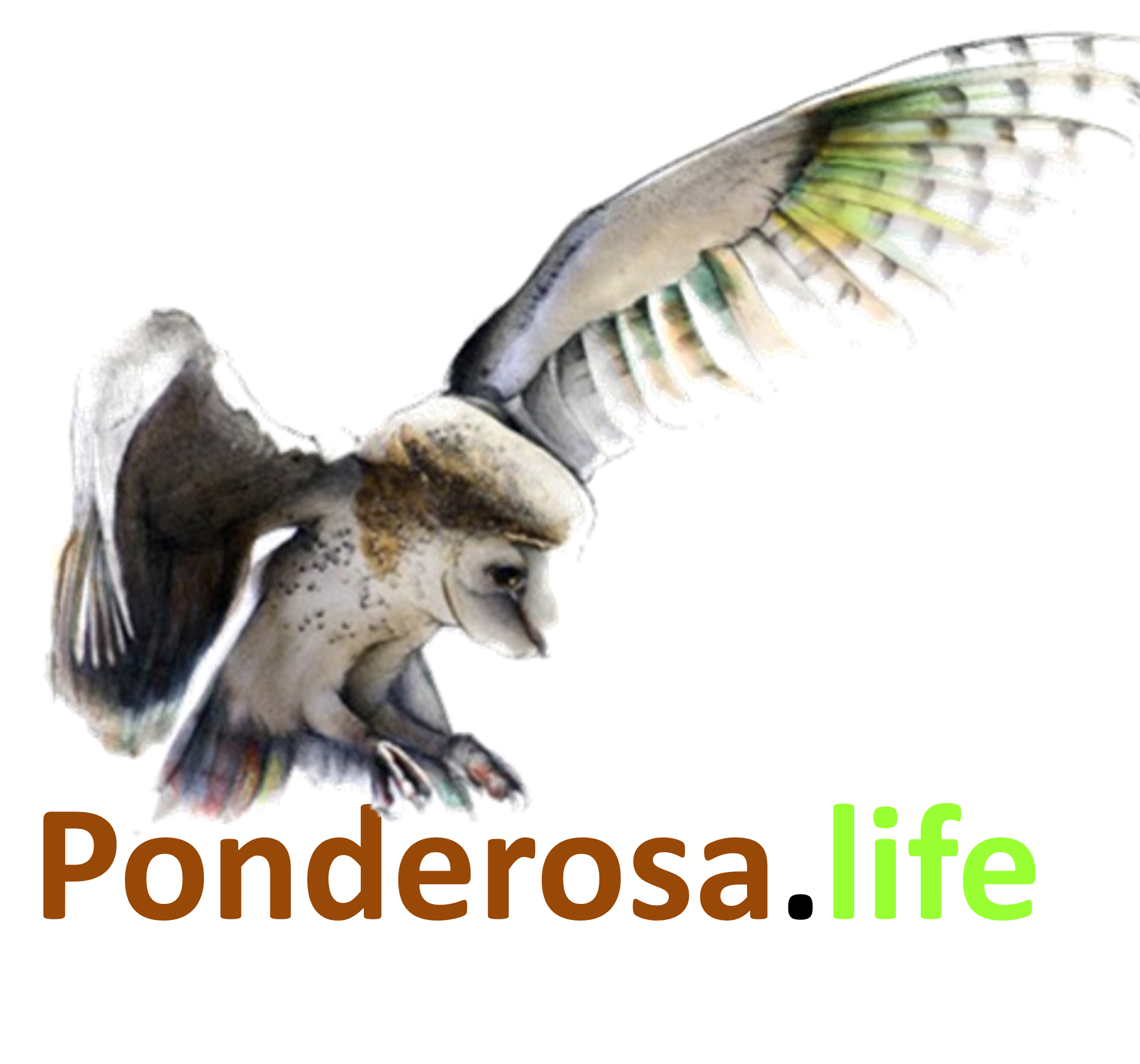 Ponderosa.life